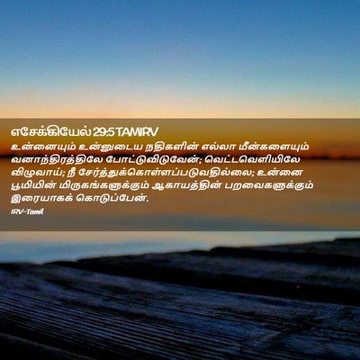 Picture 02 - எசேக்கியேல் 29:5 TAMIRV - உன்னையும் - Bible Verse Picture