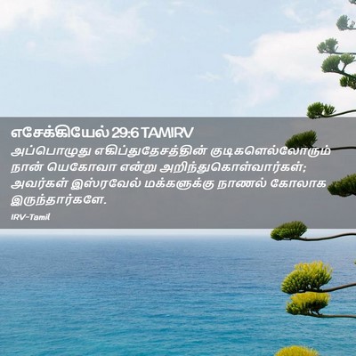 Picture 02 - எசேக்கியேல் 29:6 TAMIRV - அப்பொழுது - Bible Verse Picture