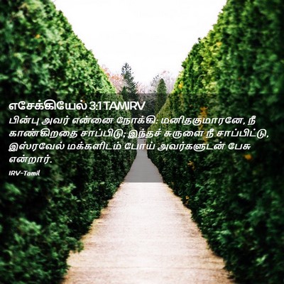 Picture 02 - எசேக்கியேல் 3:1 TAMIRV - பின்பு அவர் என்னை - Bible Verse Picture