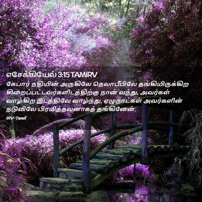 Picture 02 - எசேக்கியேல் 3:15 TAMIRV - கேபார் நதியின் - Bible Verse Picture
