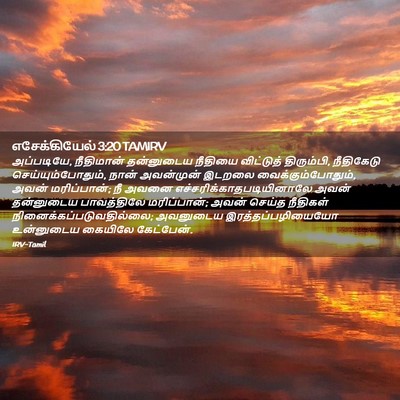 Picture 02 - எசேக்கியேல் 3:20 TAMIRV - அப்படியே, - Bible Verse Picture