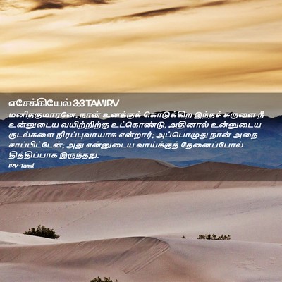 Picture 02 - எசேக்கியேல் 3:3 TAMIRV - மனிதகுமாரனே, நான் - Bible Verse Picture