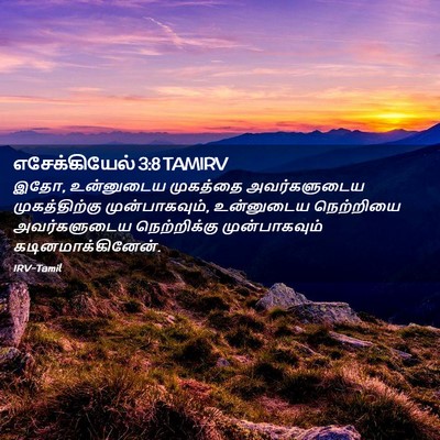 Picture 02 - எசேக்கியேல் 3:8 TAMIRV - இதோ, உன்னுடைய - Bible Verse Picture