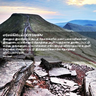 Picture 02 - எசேக்கியேல் 30:11 TAMIRV - இவனும் இவனோடு - Bible Verse Picture