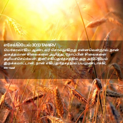 Picture 02 - எசேக்கியேல் 30:13 TAMIRV - யெகோவாகிய ஆண்டவர் - Bible Verse Picture