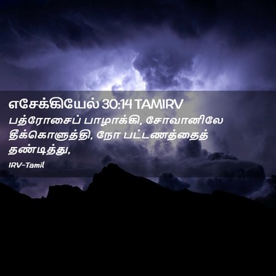 Picture 02 - எசேக்கியேல் 30:14 TAMIRV - பத்ரோசைப் - Bible Verse Picture