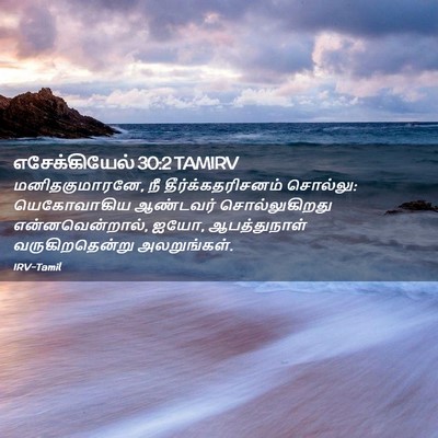 Picture 02 - எசேக்கியேல் 30:2 TAMIRV - மனிதகுமாரனே, நீ - Bible Verse Picture