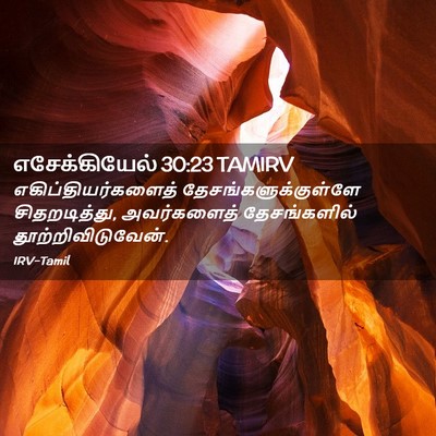 Picture 02 - எசேக்கியேல் 30:23 TAMIRV - எகிப்தியர்களைத் - Bible Verse Picture