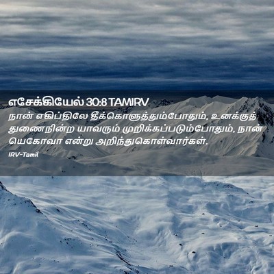 Picture 02 - எசேக்கியேல் 30:8 TAMIRV - நான் எகிப்திலே - Bible Verse Picture
