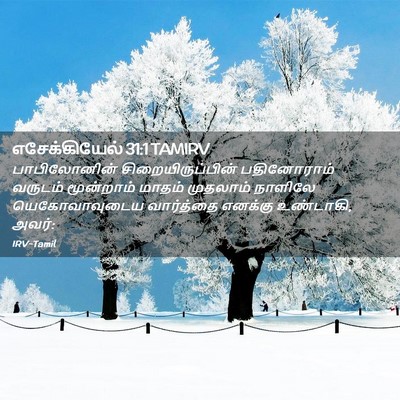 Picture 02 - எசேக்கியேல் 31:1 TAMIRV - பாபிலோனின் - Bible Verse Picture