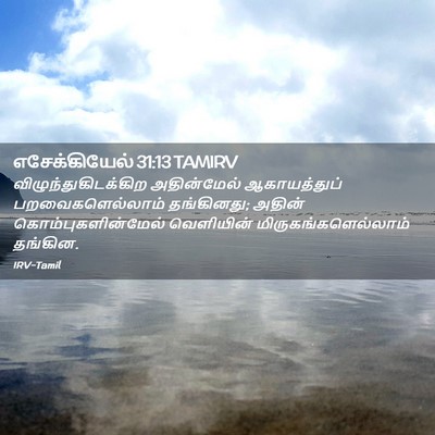 Picture 02 - எசேக்கியேல் 31:13 TAMIRV - விழுந்துகிடக்கிற - Bible Verse Picture