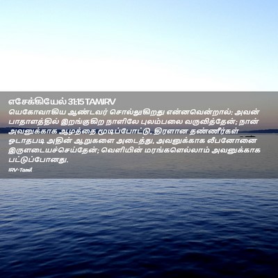 Picture 02 - எசேக்கியேல் 31:15 TAMIRV - யெகோவாகிய ஆண்டவர் - Bible Verse Picture