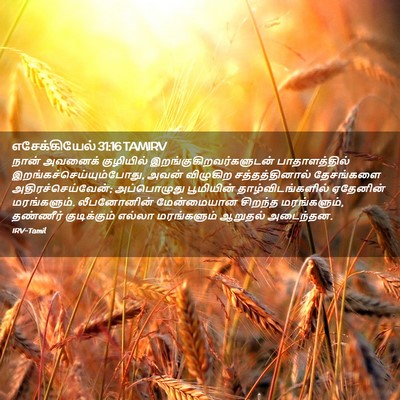Picture 02 - எசேக்கியேல் 31:16 TAMIRV - நான் அவனைக் - Bible Verse Picture
