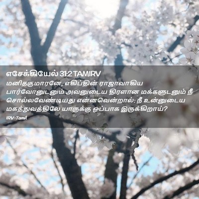 Picture 02 - எசேக்கியேல் 31:2 TAMIRV - மனிதகுமாரனே, - Bible Verse Picture