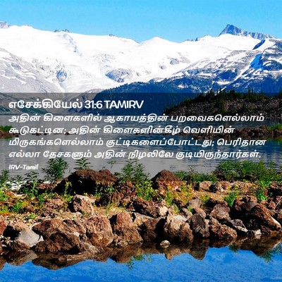 Picture 02 - எசேக்கியேல் 31:6 TAMIRV - அதின் கிளைகளில் - Bible Verse Picture