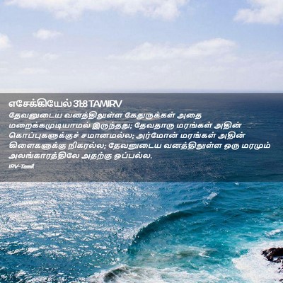 Picture 02 - எசேக்கியேல் 31:8 TAMIRV - தேவனுடைய - Bible Verse Picture