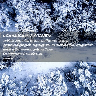 Picture 02 - எசேக்கியேல் 31:9 TAMIRV - அதின் அடர்ந்த - Bible Verse Picture