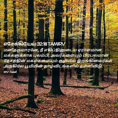 Picture 02 - எசேக்கியேல் 32:18 TAMIRV - மனிதகுமாரனே, நீ - Bible Verse Picture