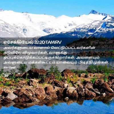 Picture 02 - எசேக்கியேல் 32:20 TAMIRV - அவர்களுடைய வாளால் - Bible Verse Picture