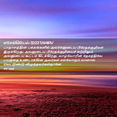 Picture 02 - எசேக்கியேல் 32:23 TAMIRV - பாதாளத்தின் - Bible Verse Picture