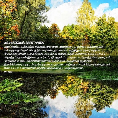 Picture 02 - எசேக்கியேல் 32:25 TAMIRV -  - Bible Verse Picture