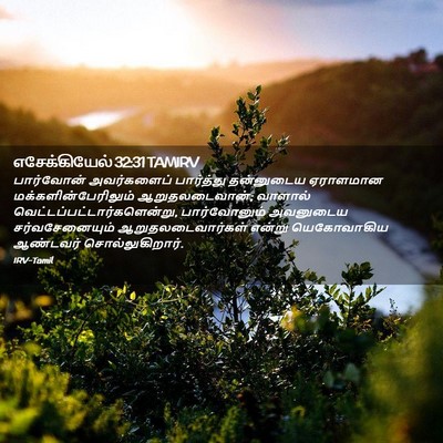 Picture 02 - எசேக்கியேல் 32:31 TAMIRV - பார்வோன் - Bible Verse Picture