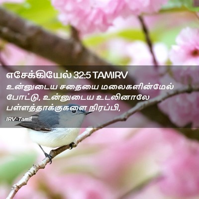 Picture 02 - எசேக்கியேல் 32:5 TAMIRV - உன்னுடைய சதையை - Bible Verse Picture