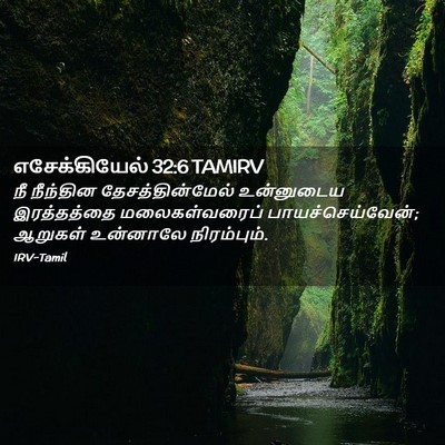 Picture 02 - எசேக்கியேல் 32:6 TAMIRV - நீ நீந்தின - Bible Verse Picture