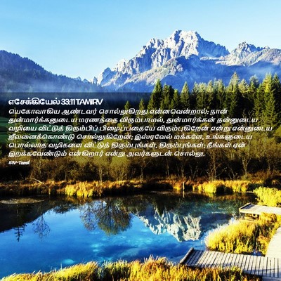 Picture 02 - எசேக்கியேல் 33:11 TAMIRV - யெகோவாகிய ஆண்டவர் - Bible Verse Picture