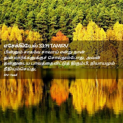 Picture 02 - எசேக்கியேல் 33:14 TAMIRV - பின்னும் சாகவே - Bible Verse Picture