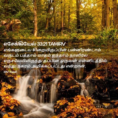 Picture 02 - எசேக்கியேல் 33:21 TAMIRV - எங்களுடைய - Bible Verse Picture