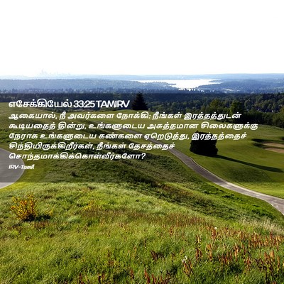 Picture 02 - எசேக்கியேல் 33:25 TAMIRV - ஆகையால், நீ - Bible Verse Picture