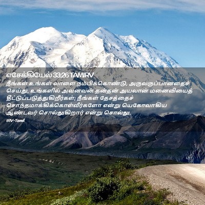 Picture 02 - எசேக்கியேல் 33:26 TAMIRV - நீங்கள் உங்கள் - Bible Verse Picture