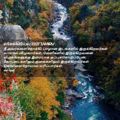 Picture 02 - எசேக்கியேல் 33:27 TAMIRV - நீ அவர்களை நோக்கி: - Bible Verse Picture
