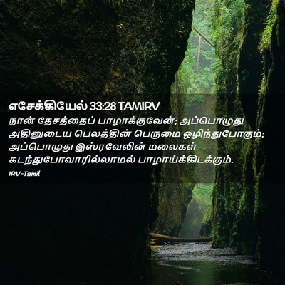 Picture 02 - எசேக்கியேல் 33:28 TAMIRV - நான் தேசத்தைப் - Bible Verse Picture