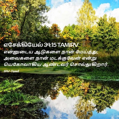 Picture 02 - எசேக்கியேல் 34:15 TAMIRV - என்னுடைய ஆடுகளை - Bible Verse Picture