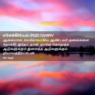 Picture 02 - எசேக்கியேல் 34:20 TAMIRV - ஆகையால், - Bible Verse Picture