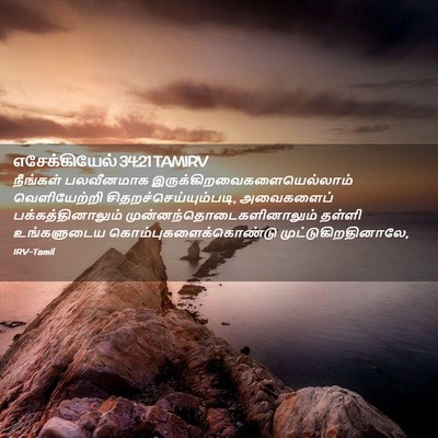 Picture 02 - எசேக்கியேல் 34:21 TAMIRV - நீங்கள் பலவீனமாக - Bible Verse Picture