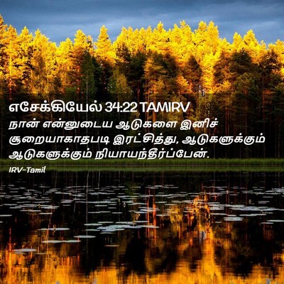Picture 02 - எசேக்கியேல் 34:22 TAMIRV - நான் என்னுடைய - Bible Verse Picture