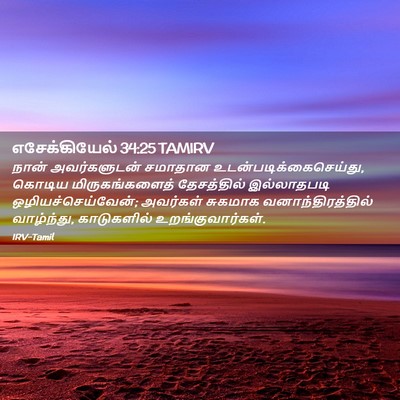 Picture 02 - எசேக்கியேல் 34:25 TAMIRV - நான் அவர்களுடன் - Bible Verse Picture