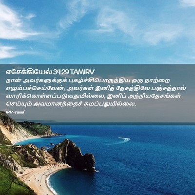 Picture 02 - எசேக்கியேல் 34:29 TAMIRV - நான் - Bible Verse Picture