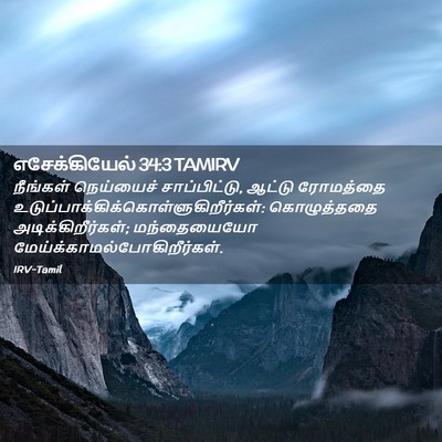 Picture 02 - எசேக்கியேல் 34:3 TAMIRV - நீங்கள் நெய்யைச் - Bible Verse Picture