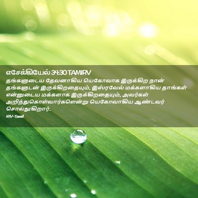 Picture 02 - எசேக்கியேல் 34:30 TAMIRV - தங்களுடைய - Bible Verse Picture