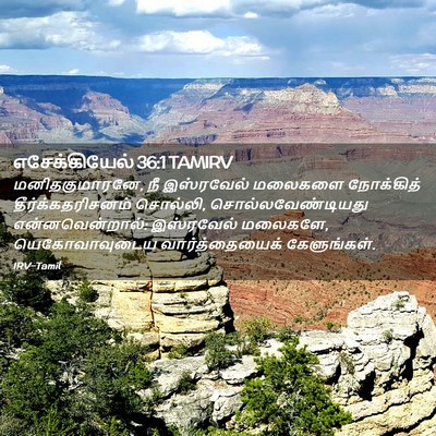 Picture 02 - எசேக்கியேல் 36:1 TAMIRV - மனிதகுமாரனே, நீ - Bible Verse Picture