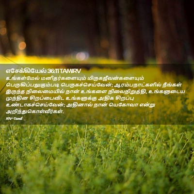 Picture 02 - எசேக்கியேல் 36:11 TAMIRV - உங்கள்மேல் - Bible Verse Picture
