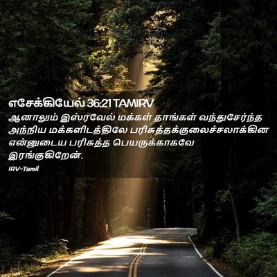 Picture 02 - எசேக்கியேல் 36:21 TAMIRV - ஆனாலும் இஸ்ரவேல் - Bible Verse Picture