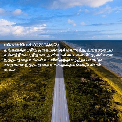 Picture 02 - எசேக்கியேல் 36:26 TAMIRV - உங்களுக்கு புதிய - Bible Verse Picture