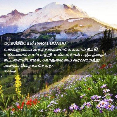 Picture 02 - எசேக்கியேல் 36:29 TAMIRV - உங்களுடைய - Bible Verse Picture
