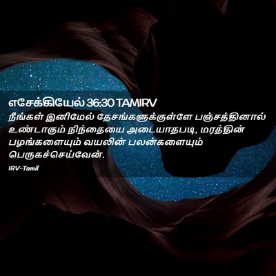 Picture 02 - எசேக்கியேல் 36:30 TAMIRV - நீங்கள் இனிமேல் - Bible Verse Picture