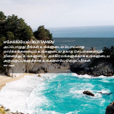 Picture 02 - எசேக்கியேல் 36:31 TAMIRV - அப்பொழுது நீங்கள் - Bible Verse Picture